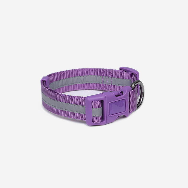 Reflective dog collar for small dogs, ensuring visibility during evening pet walks.