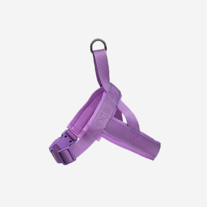 Dog enjoying outdoor walk with reflective no-pull harness, offering comfort and control.