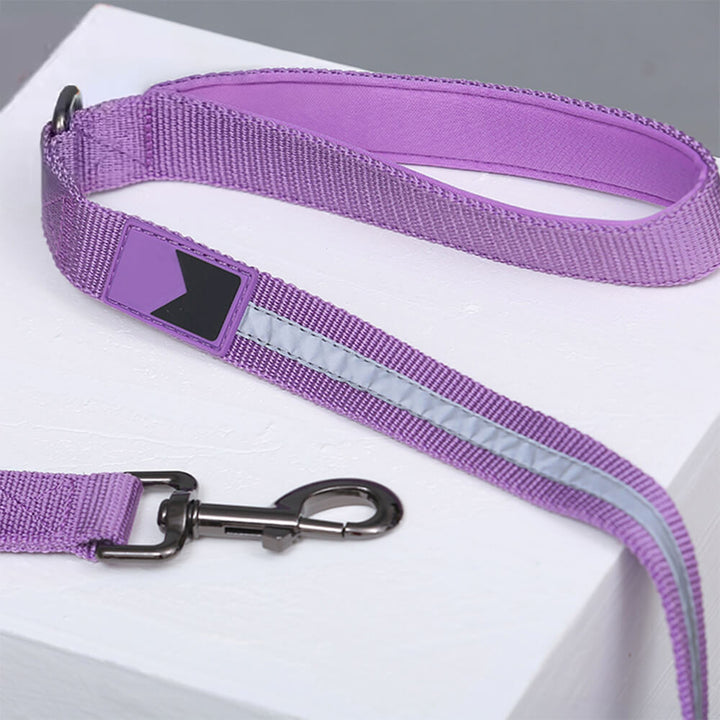 Reflective dog leash for improved visibility and control during adventurous outdoor pet walks.