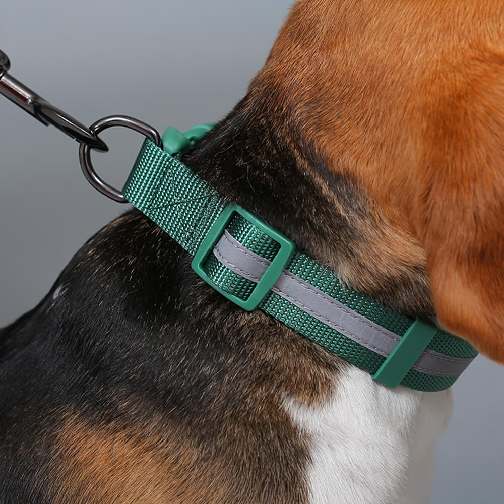 High-visibility reflective dog leash, no-pull design for better control during dog walks.