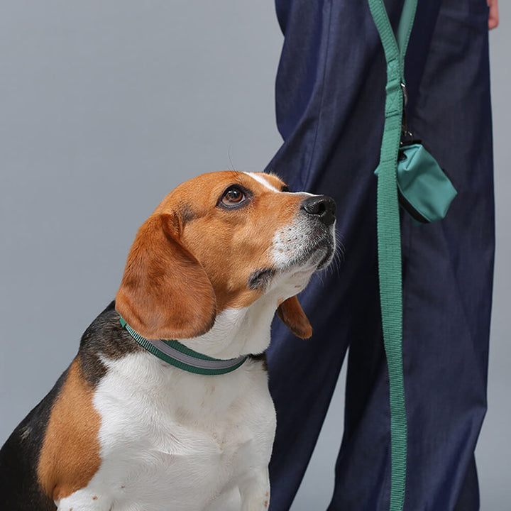 No-pull dog harness and leash set, reflective for enhanced pet safety and training.