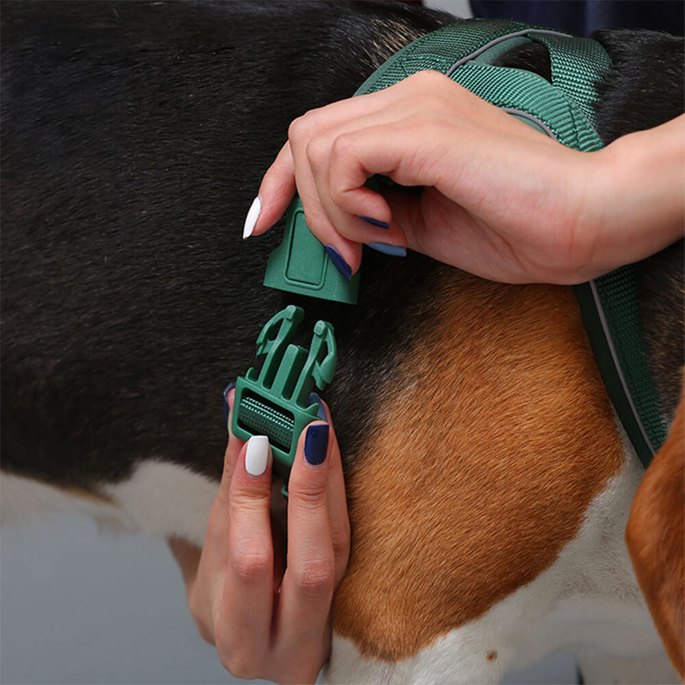 Close-up of reflective no-pull dog harness buckle, showing durable nylon and adjustability.