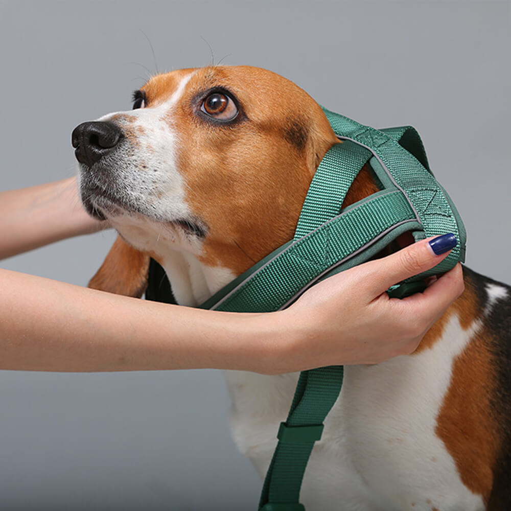 Reflective dog collar with quick-release buckle, essential pet safety accessory for visibility.