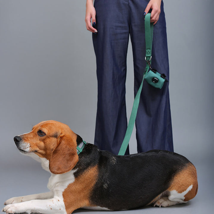 Ergonomic no-pull dog harness design for comfortable and controlled dog walking.