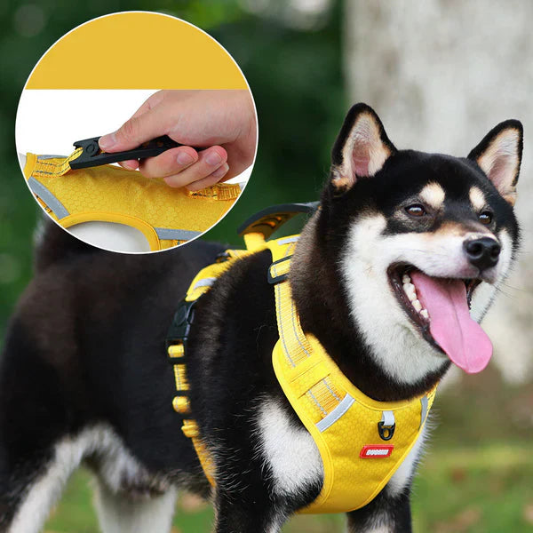 Reflective no-pull dog harness with front and back leash attachments for safety and comfort