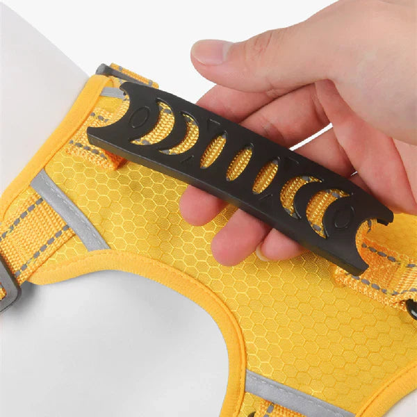 Close-up of comfortable no-pull dog harness showing reflective stitching and durable D-rings