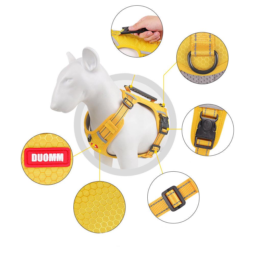 Dog wearing an adjustable, reflective no-pull harness, highlighting its secure and comfortable fit
