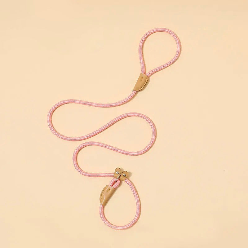 Reflective nylon dog leash for night walks, ensuring pet safety for medium to large dogs.