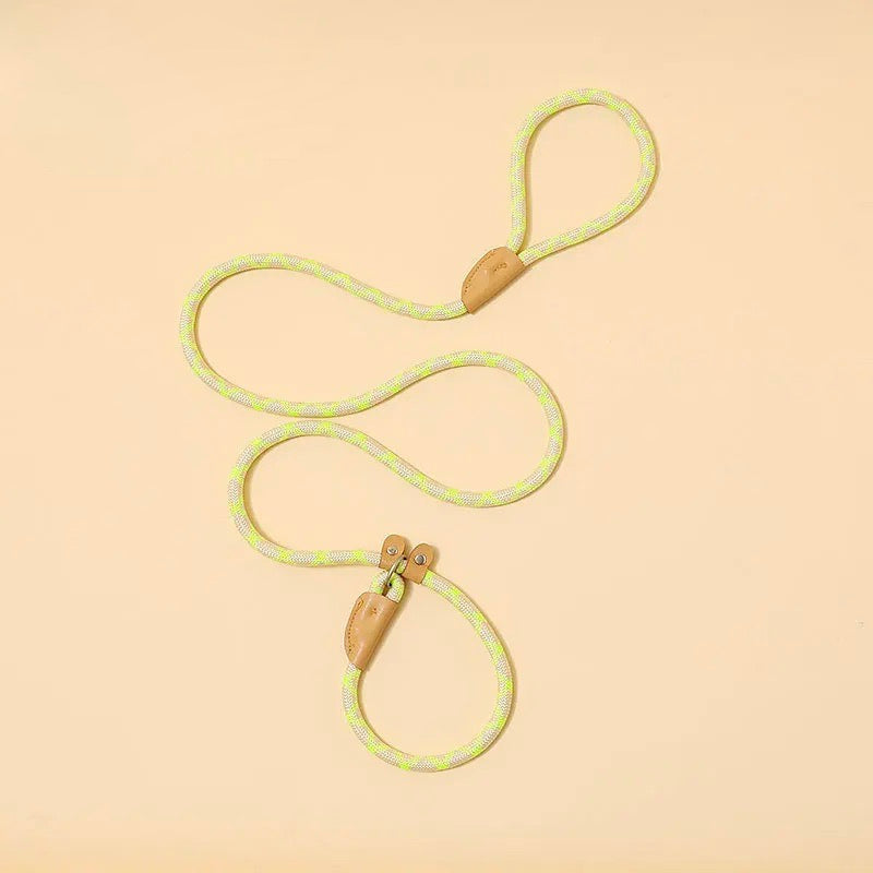 Reflective dog leash attached to a dog collar, ready for a safe night walk. Pet safety gear.