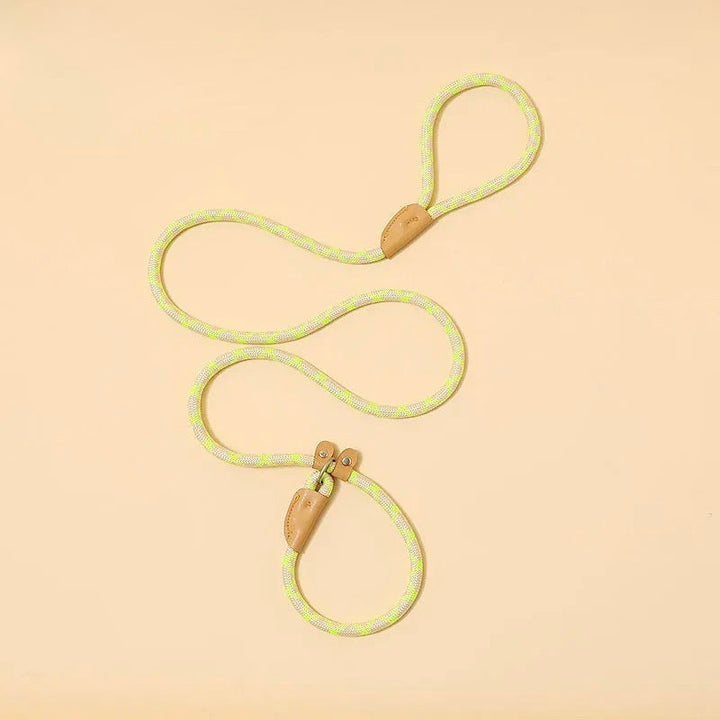 Reflective dog leash attached to a dog collar, ready for a safe night walk. Pet safety gear.