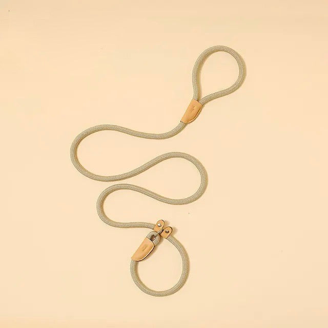 Variety of reflective nylon dog leashes in different colors, durable pet safety accessories.