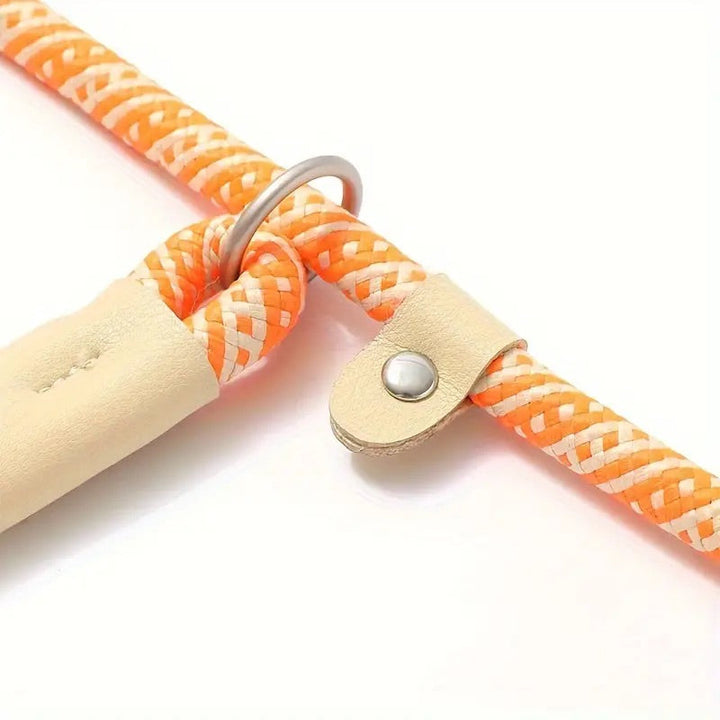Close-up of reflective stitching on a durable nylon dog leash for enhanced night visibility.