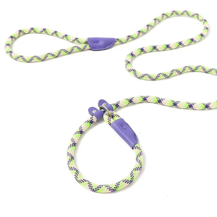 Heavy-duty reflective dog leash with strong metal clasp, built for large and energetic dogs.