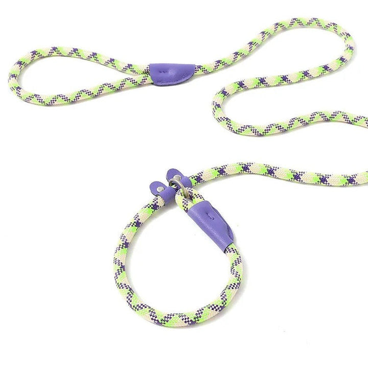 Heavy-duty reflective dog leash with strong metal clasp, built for large and energetic dogs.