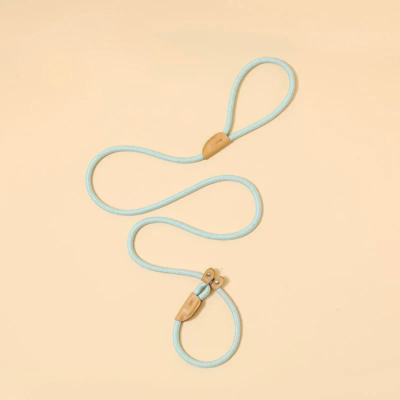 Reflective nylon dog leash coiled, showcasing its bright visibility for night walk safety.