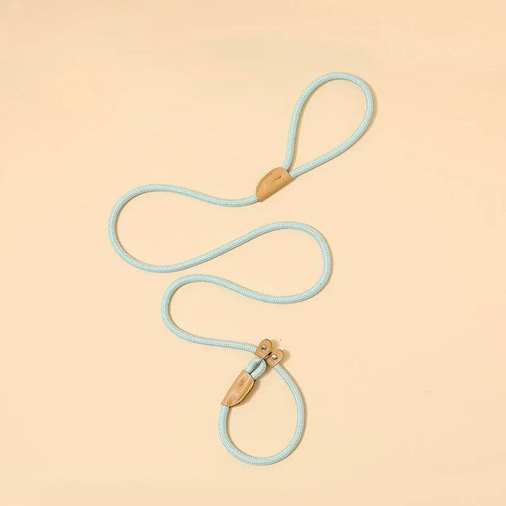 Reflective nylon dog leash coiled, showcasing its bright visibility for night walk safety.