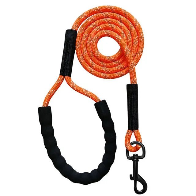 Reflective nylon dog leash with comfortable padded handle, 6ft, black, for night safety walking