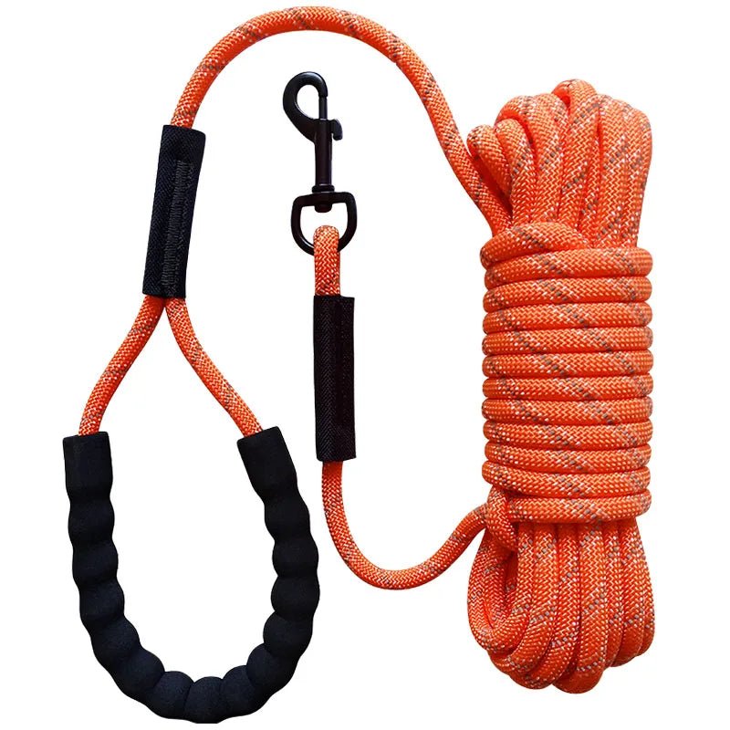 Durable reflective nylon dog leash showing strong stitching and comfort grip handle for training