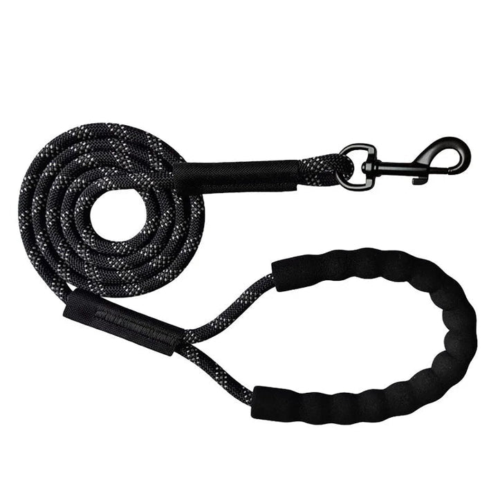 Pet supplies: Reflective nylon dog leash, 6 feet, ideal for night walks and dog safety training