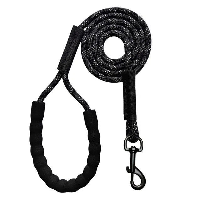 Outdoor dog gear: Black reflective nylon leash with comfort handle, designed for secure and long walks