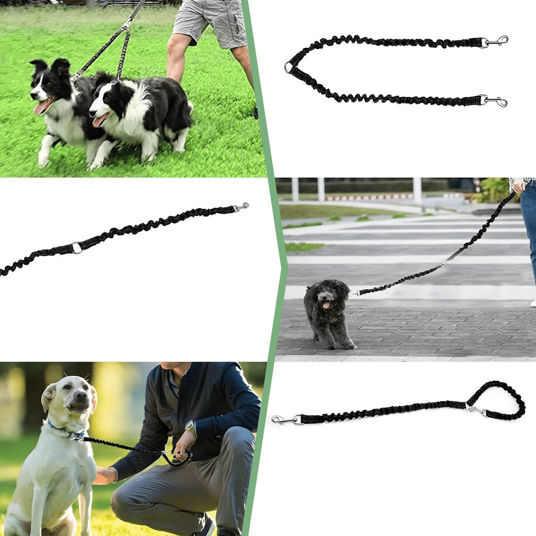 Durable double pet leash in reflective nylon, featuring a swivel to prevent tangles for two dogs