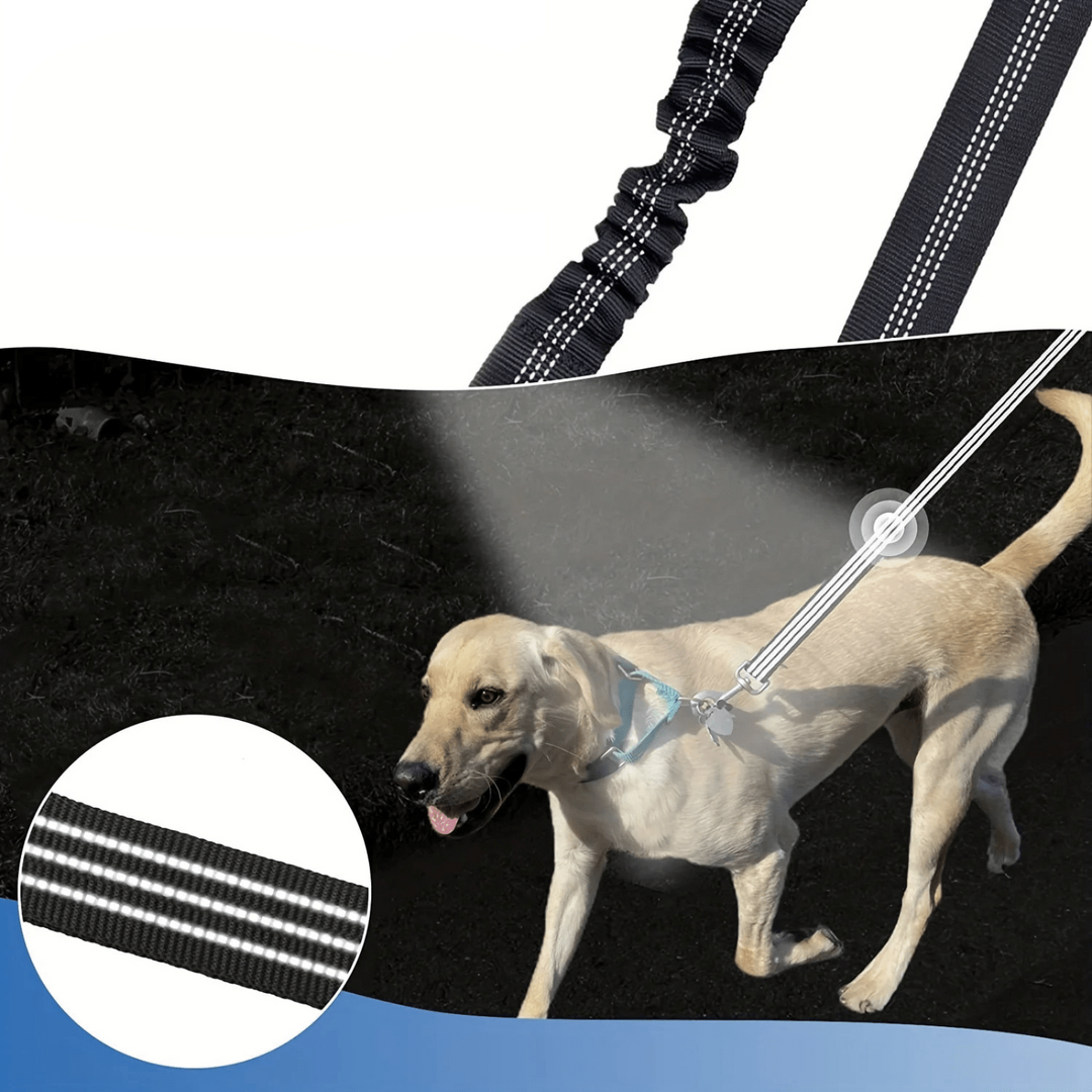 Black nylon double dog leash with reflective stitching and tangle-free swivel for walks