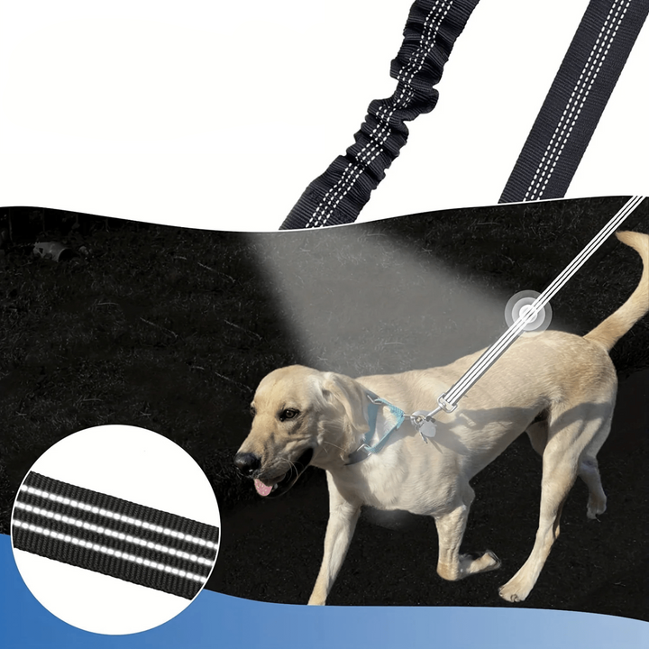 Black nylon double dog leash with reflective stitching and tangle-free swivel for walks