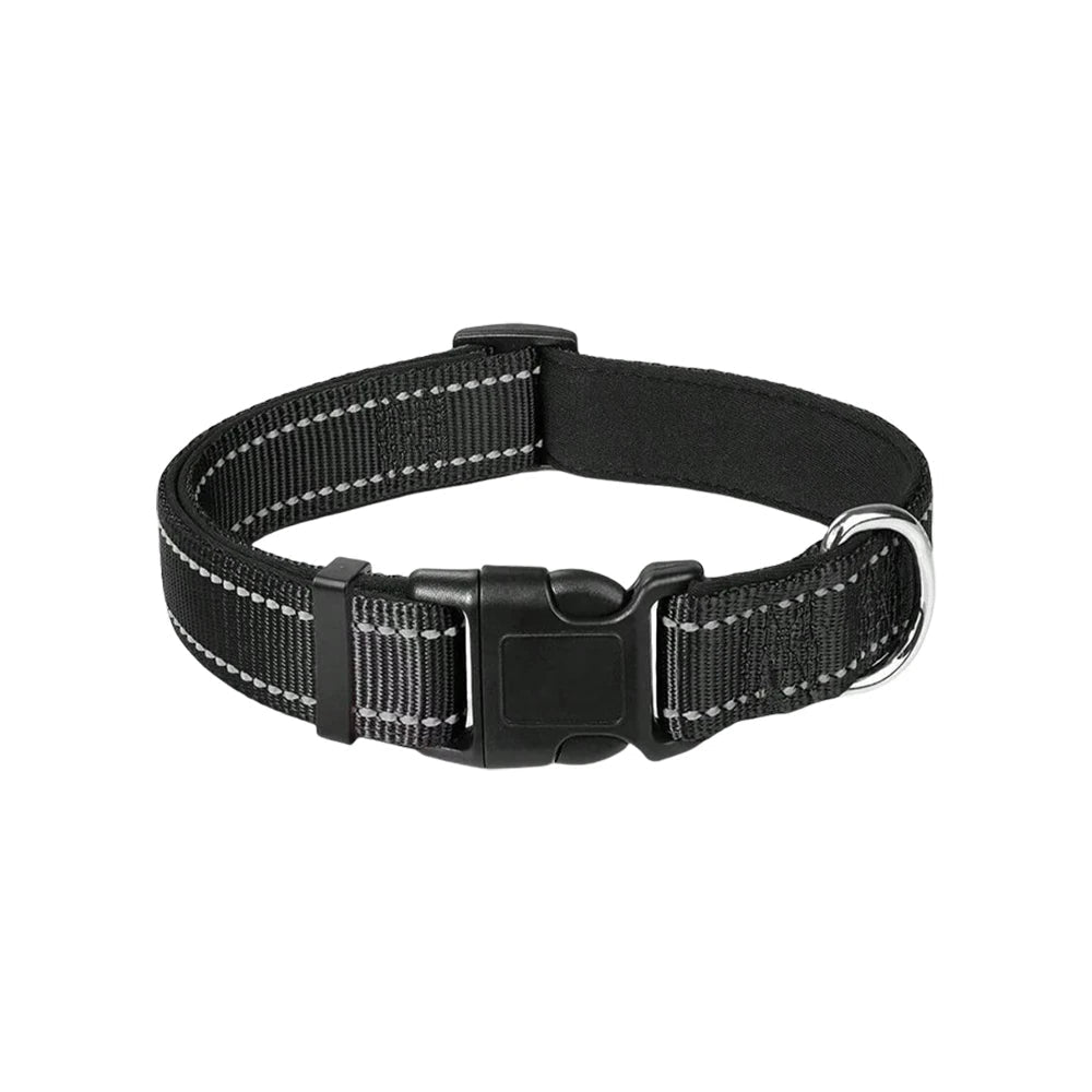 Reflective padded dog collar for night safety, adjustable for comfort, perfect for active dogs in outdoors.