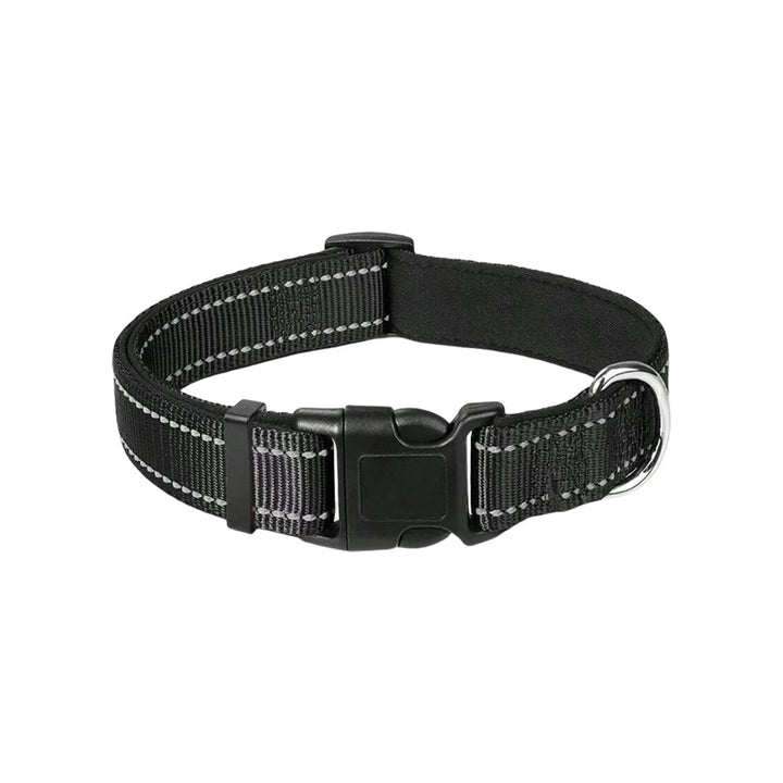 Reflective padded dog collar for night safety, adjustable for comfort, perfect for active dogs in outdoors.