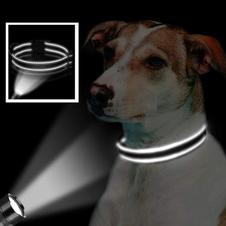 Closeup of a black reflective dog collar, padded for pet comfort, with secure buckle for outdoor safety.