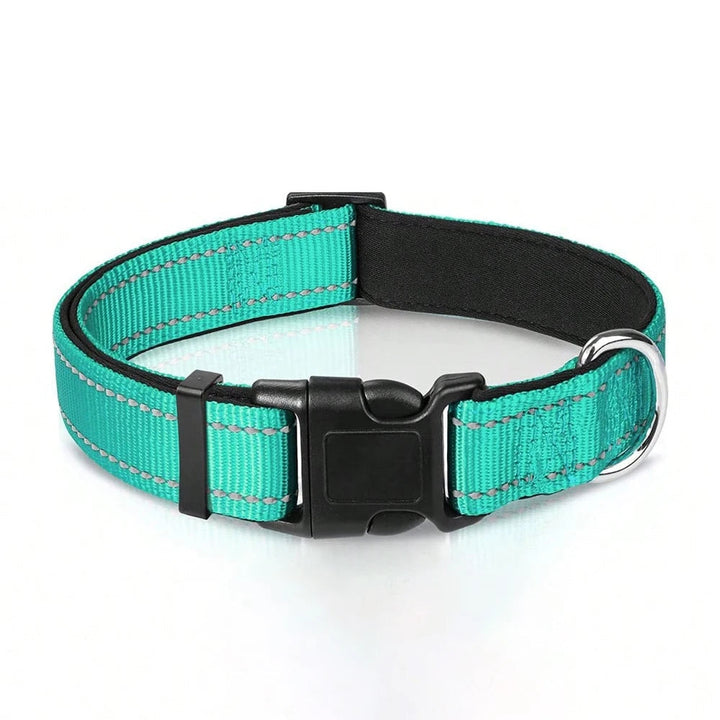 Adjustable reflective dog collar for medium dogs, soft padding ensures comfort during walks and runs.