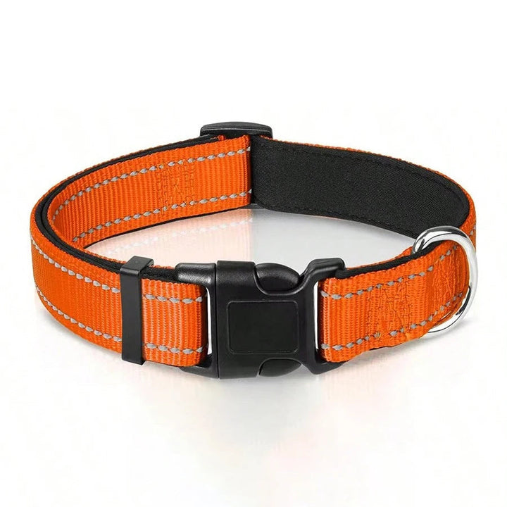 Reflective dog collar for enhanced pet safety, featuring breathable padding for extended outdoor activities.