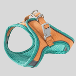 Orange/Teal