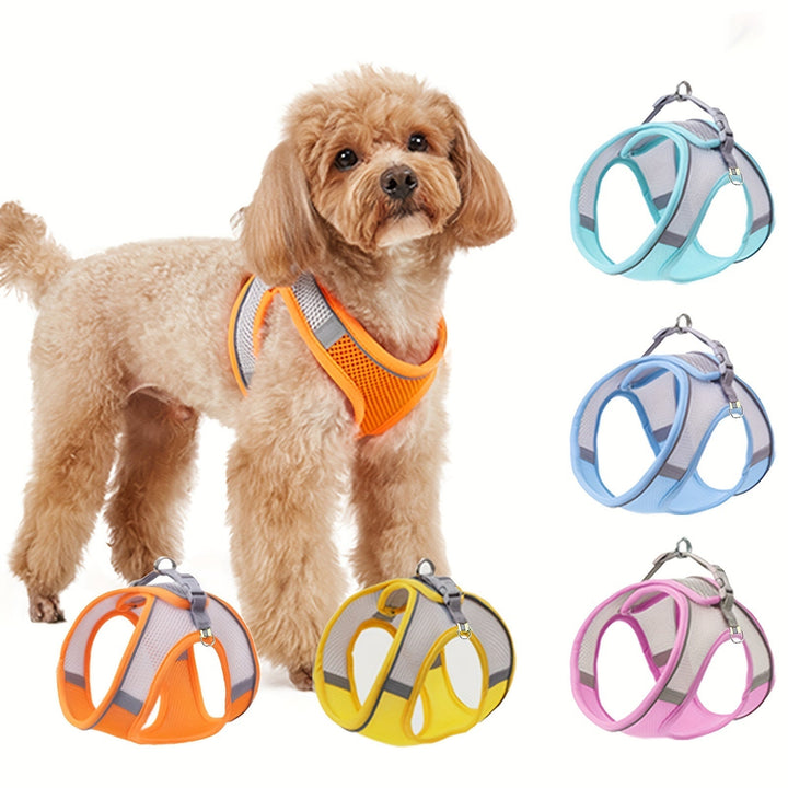 Small black reflective mesh cat harness, adjustable fit for ultimate pet comfort & safety.