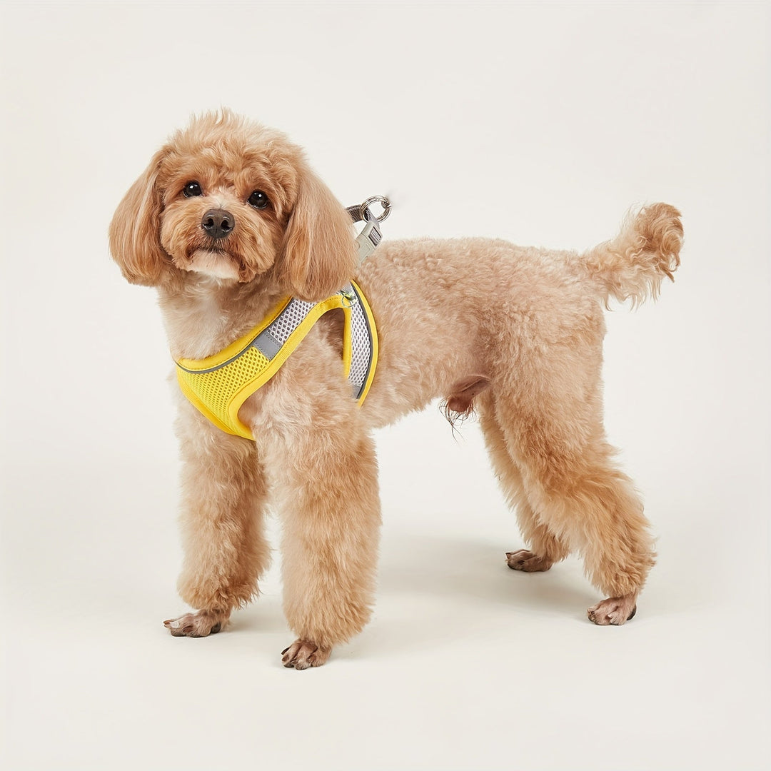 Blue soft mesh dog harness with reflective strips, perfect for small breeds & puppies.
