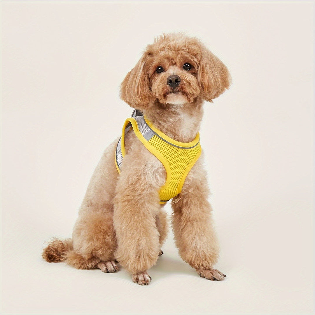Breathable reflective mesh pet vest harness, ideal for small dogs and cats, front view.