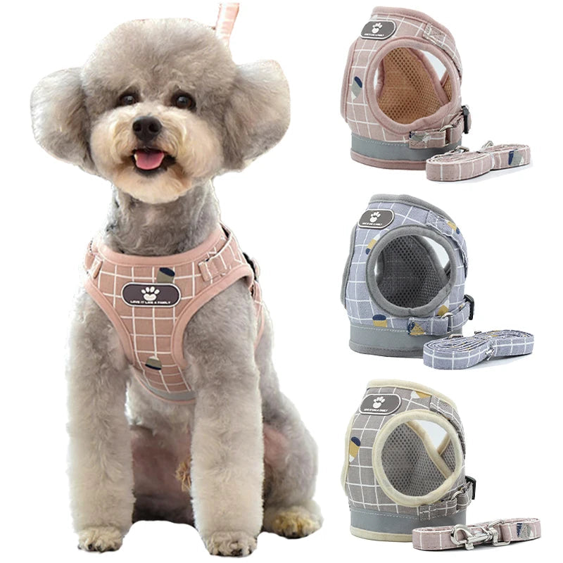 Small dog accessories: Breathable reflective pet vest and adjustable leash set in red for outdoor walks.