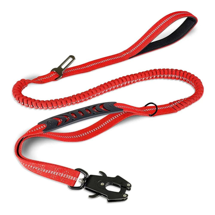 Pet supplies: shock-absorbing bungee dog leash with durable car seat belt attachment hook