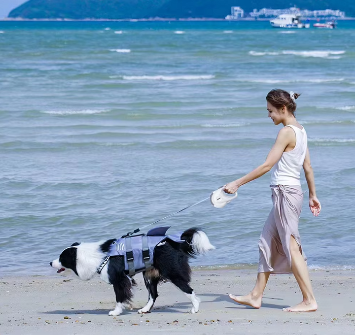 Retractable dog leash with 360-degree rotation mechanism for tangle-free dog walking control