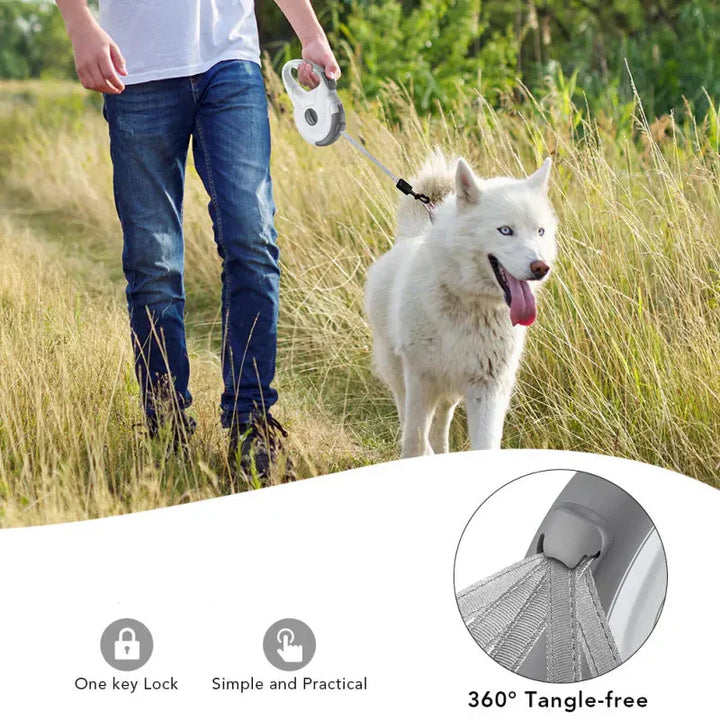 Durable retractable dog leash, 5m, with rotation, ideal for pet control and freedom