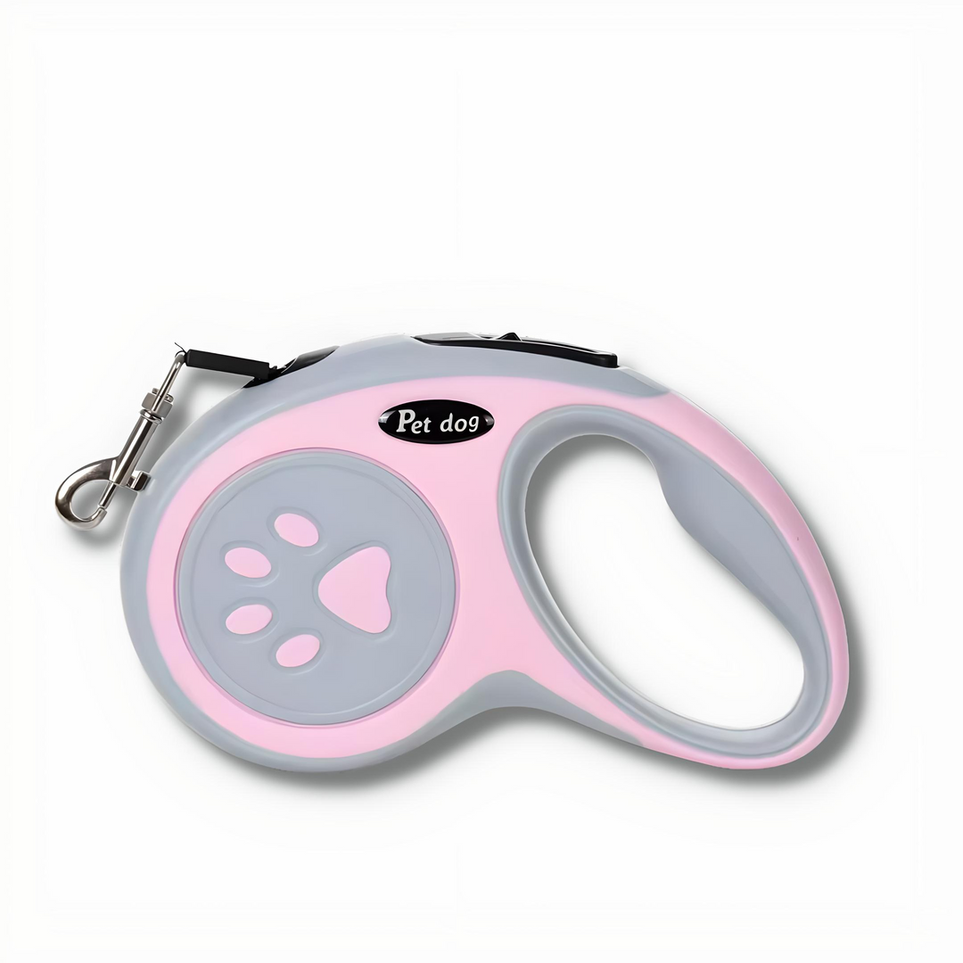 Small dog happily walking on an extended retractable nylon leash with quick-release