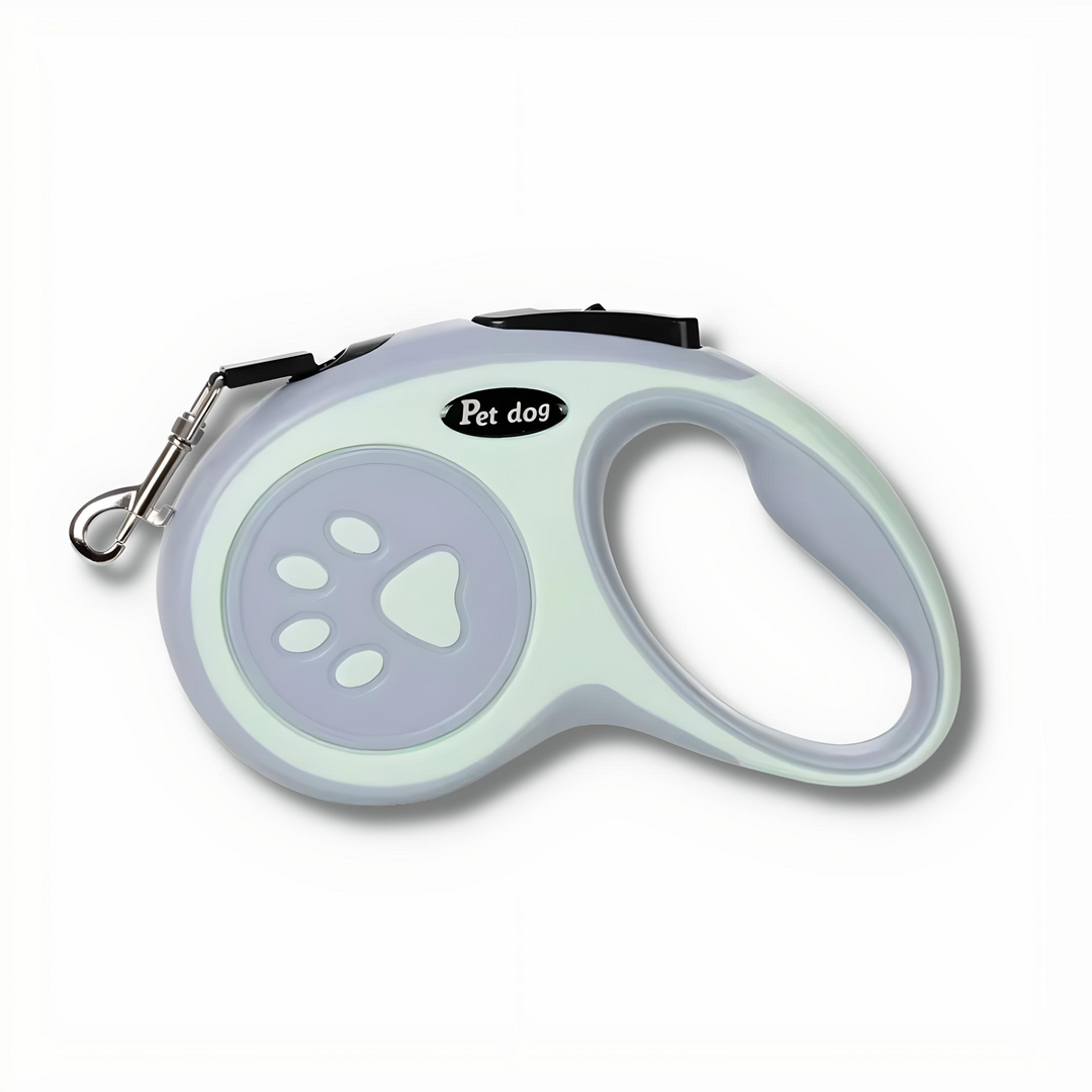 Medium dog with a retractable quick-release dog leash, ideal for pet walking outdoor gear