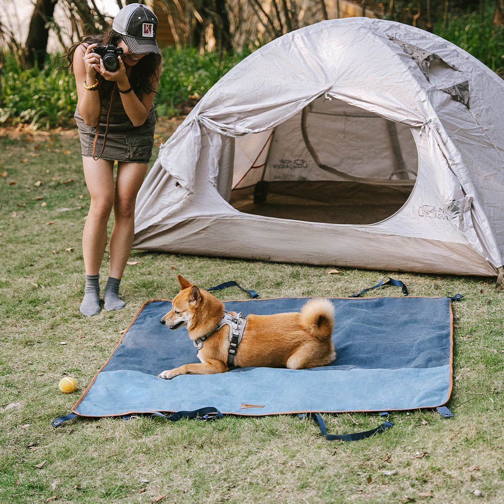 Retro design waterproof car seat cover for dogs, protects upholstery, doubles as camping mat.