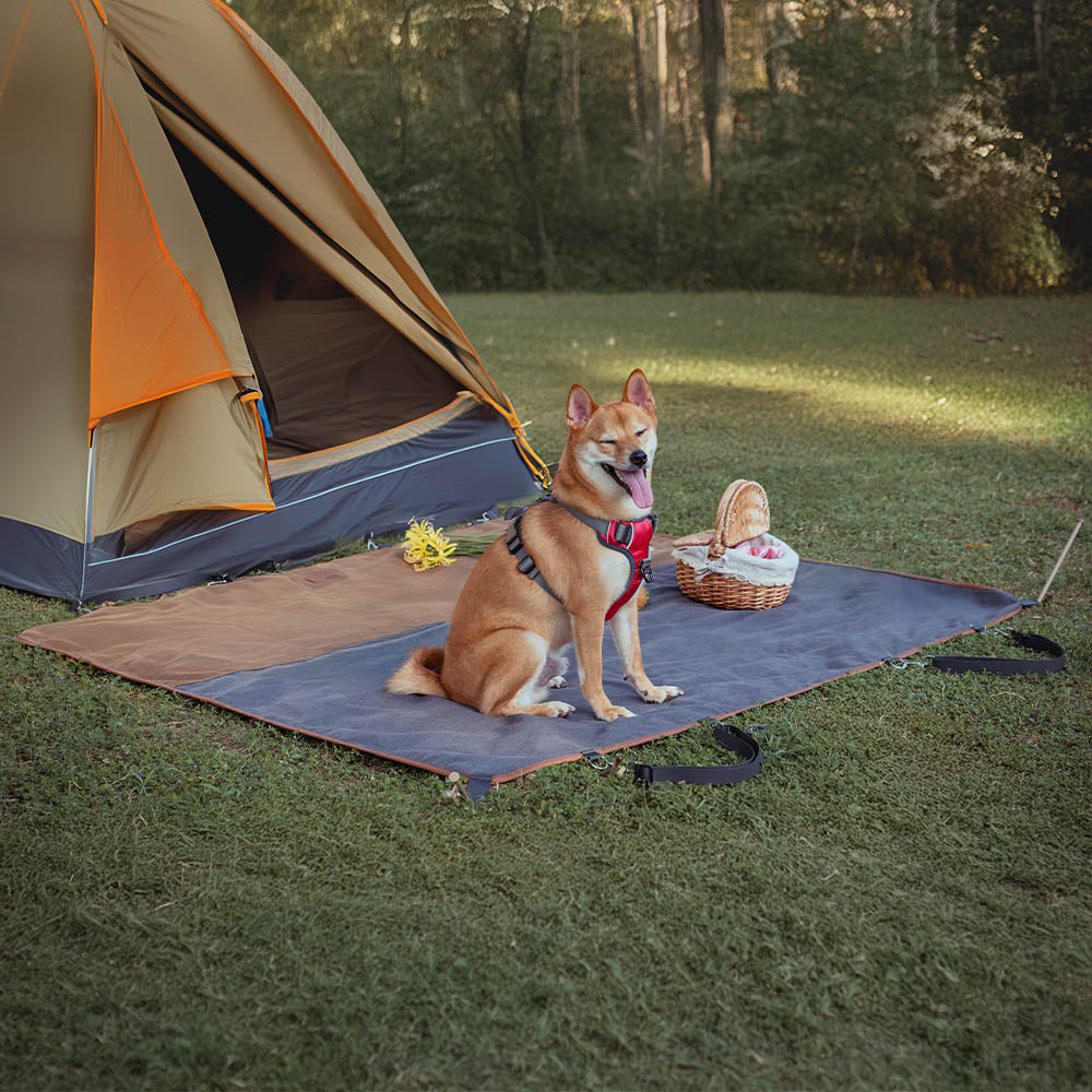 Pet travel essential: waterproof car seat cover, easy clean retro design, for all vehicles.