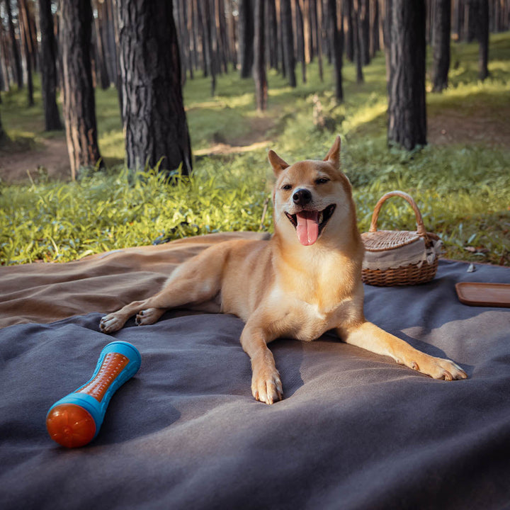 Robust waterproof car seat cover for pets, retro design, ensures vehicle interior protection.