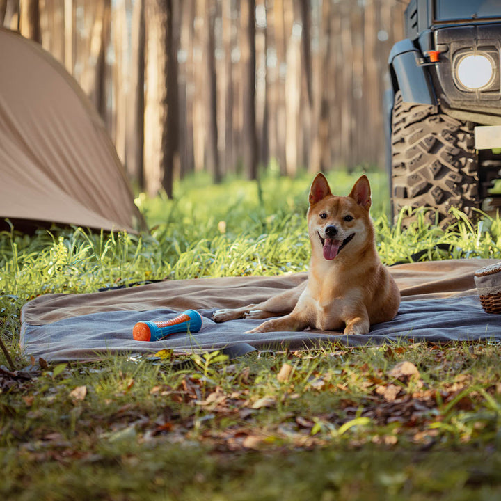 Dog accessories: black waterproof car seat cover, retro style, converts to camping mat.