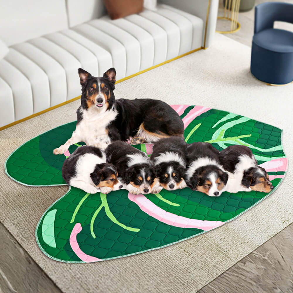 Set of two reusable absorbent non-slip dog training pads, perfect for pet pee training.