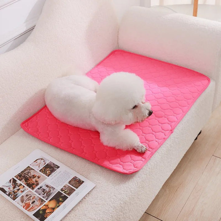 High-quality washable dog pee pad, designed for maximum absorption & durability