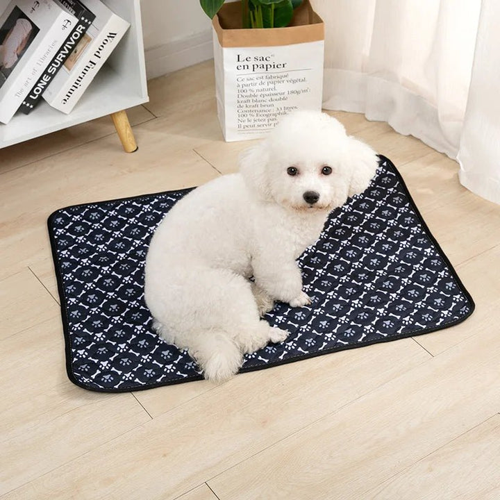 Training pad for puppies & incontinent dogs, washable, waterproof, and long-lasting