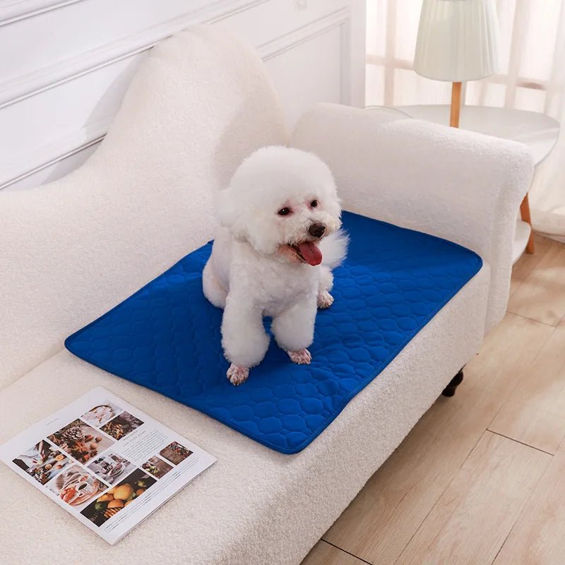 Pet training essential: reusable, washable, waterproof, non-slip dog pee pad, grey